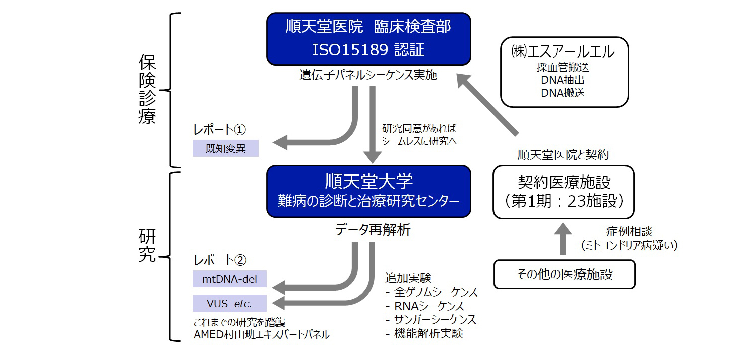 mito図2 のコピー