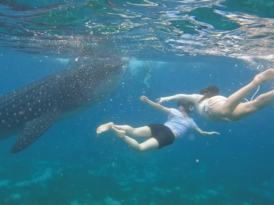 2025セブ島アクティビティの様子3