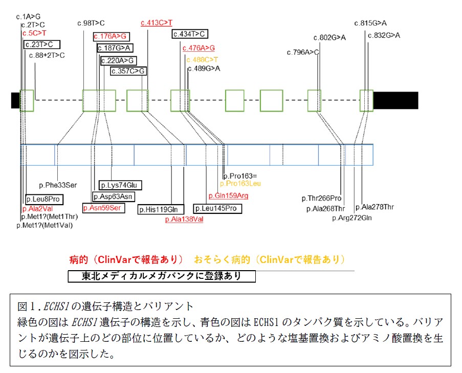 岡﨑先生①