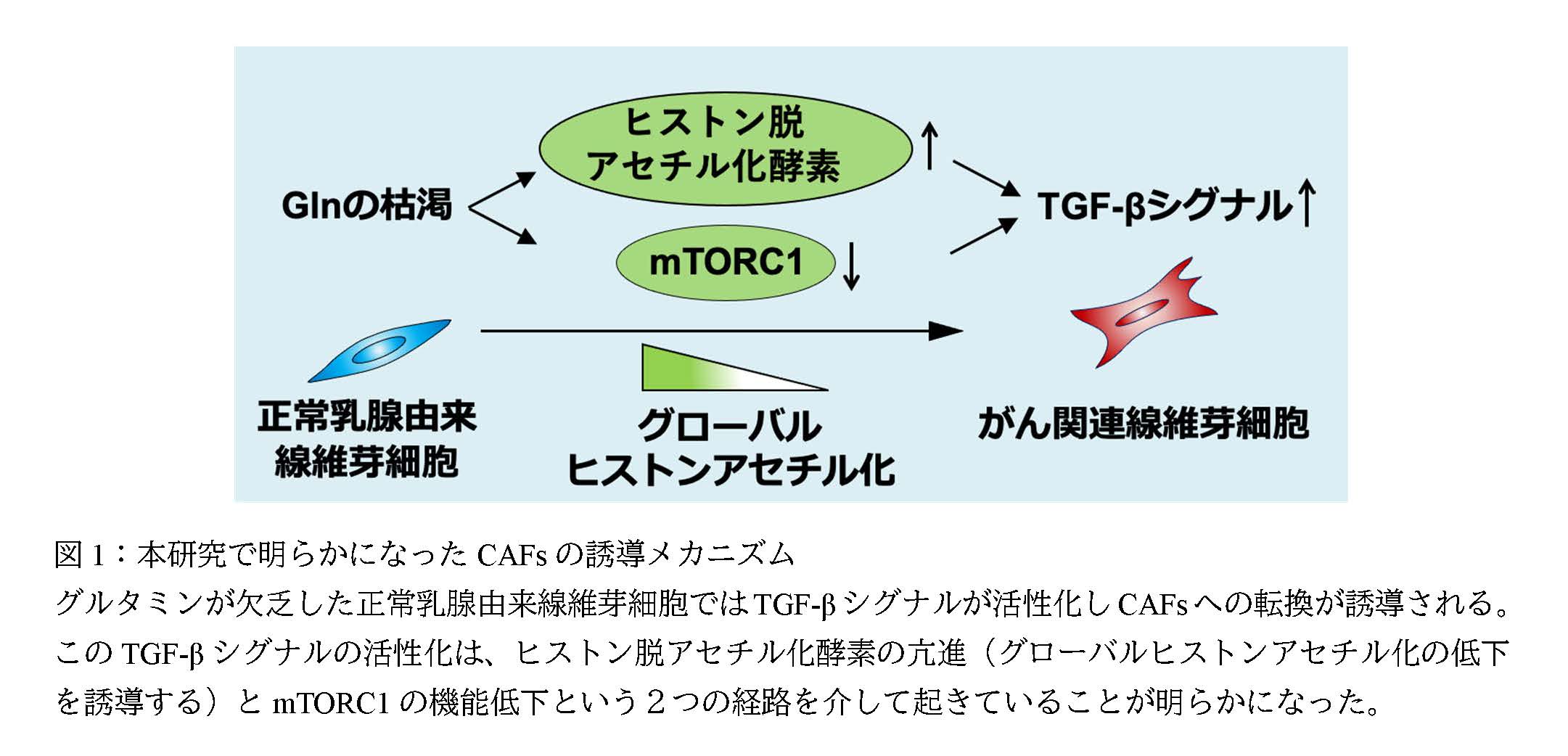 【説明付き】画像