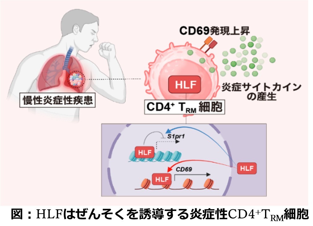 ★20251210小松先生画像1