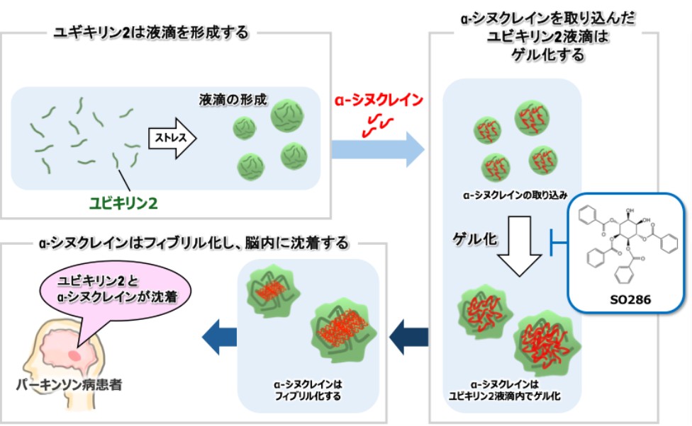 20251022リリース画像