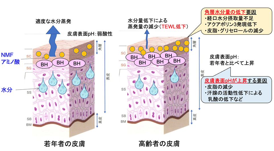 鎌田先生2