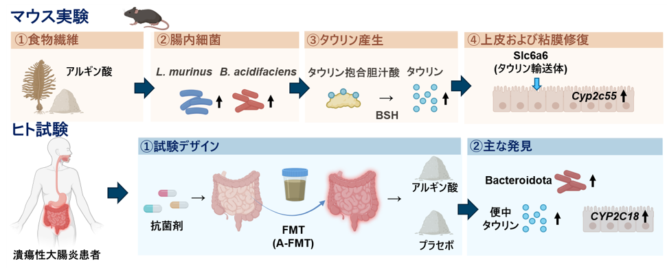 小田倉差替え画像1
