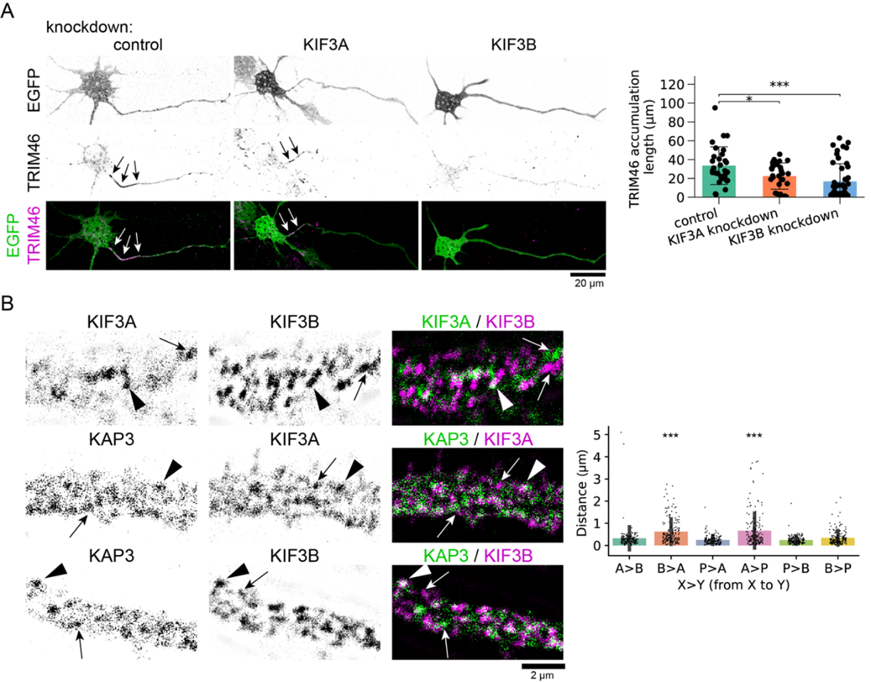 廣川先生0330画像2