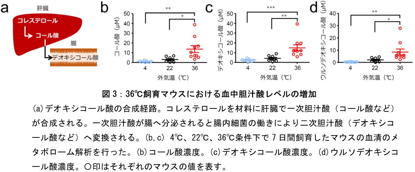 ウイルス修正４