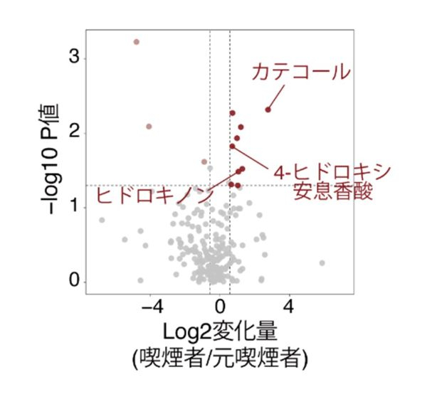 20250825画像2