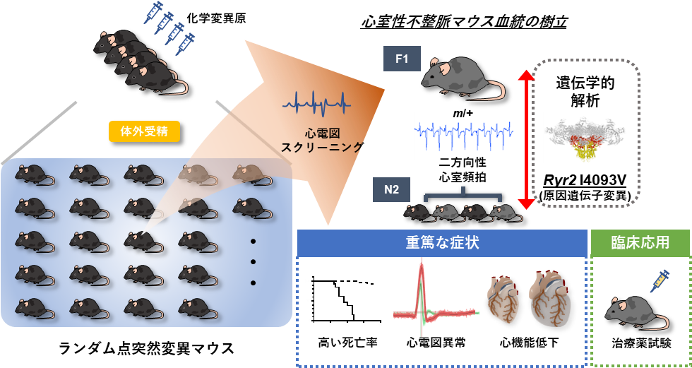 呉林先生