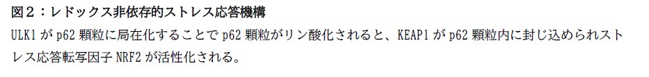 図２スクリーンショット 2023-06-12 114611