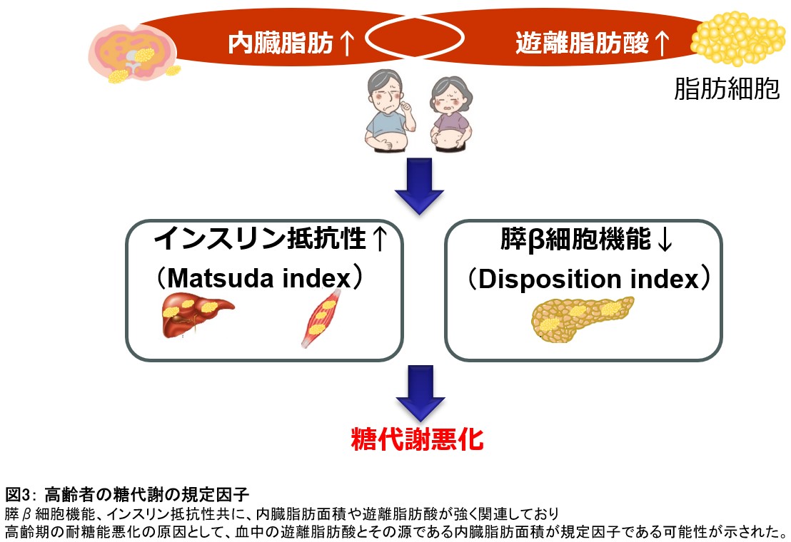 糖尿図３
