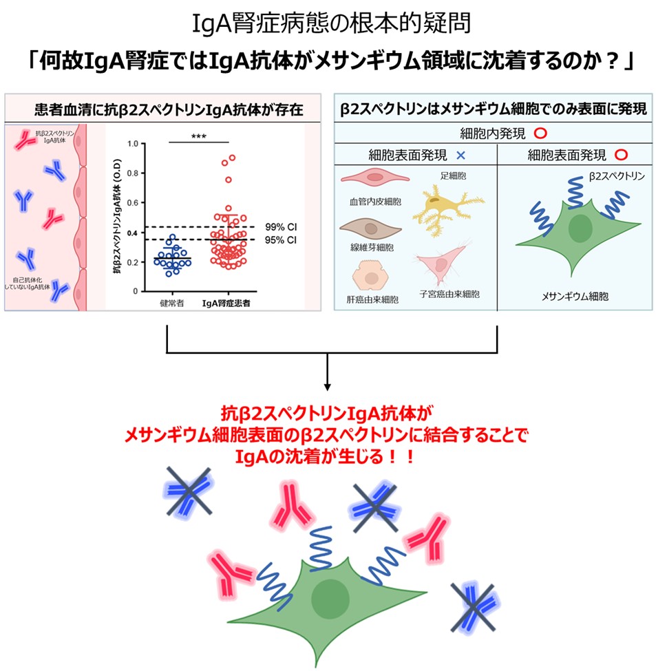 TUSCE_241_Fig2_JPN_FINAL