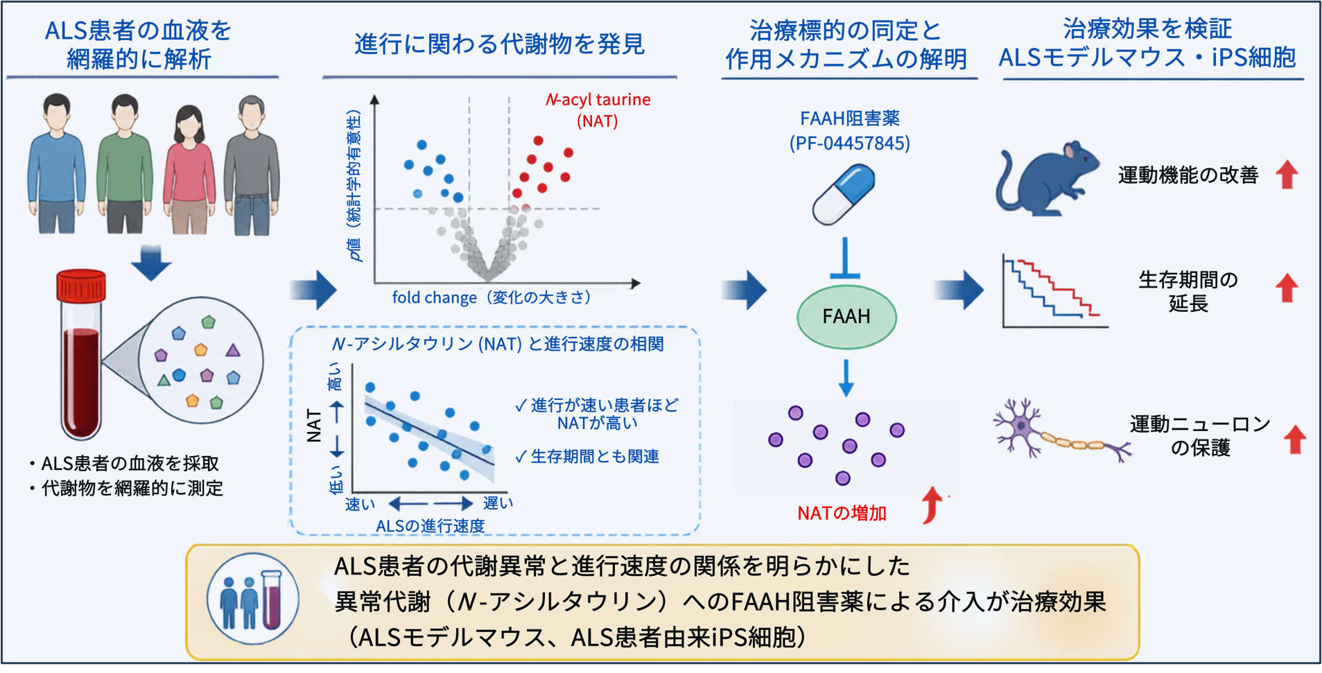 横溝先生画像1