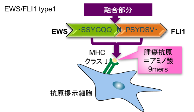 図1難治性