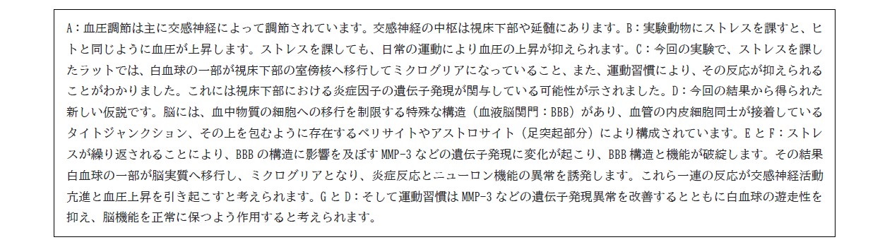 図：スクリーンショット 2023-06-12 091224