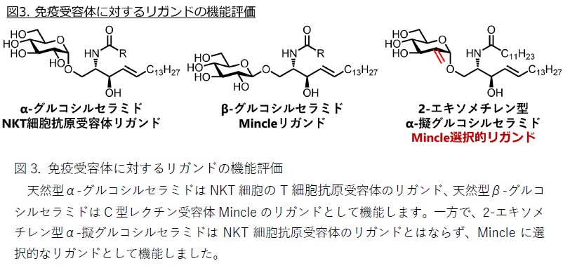 秋山先生④④