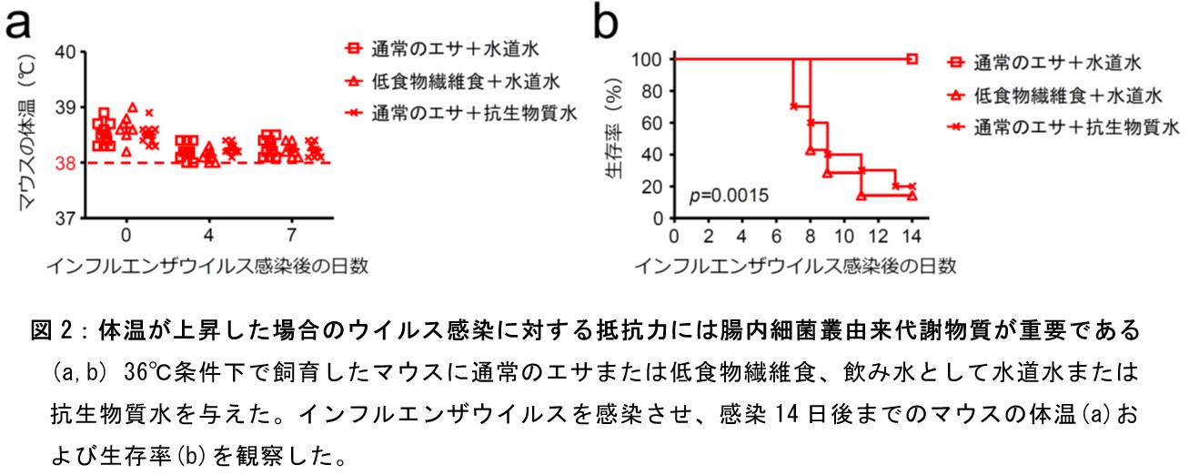 ウイルス修正２