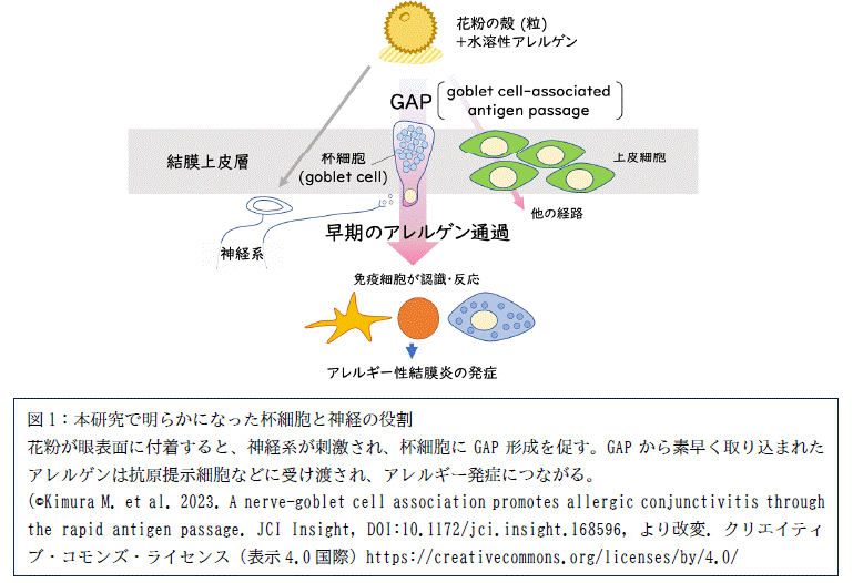 安藤先生