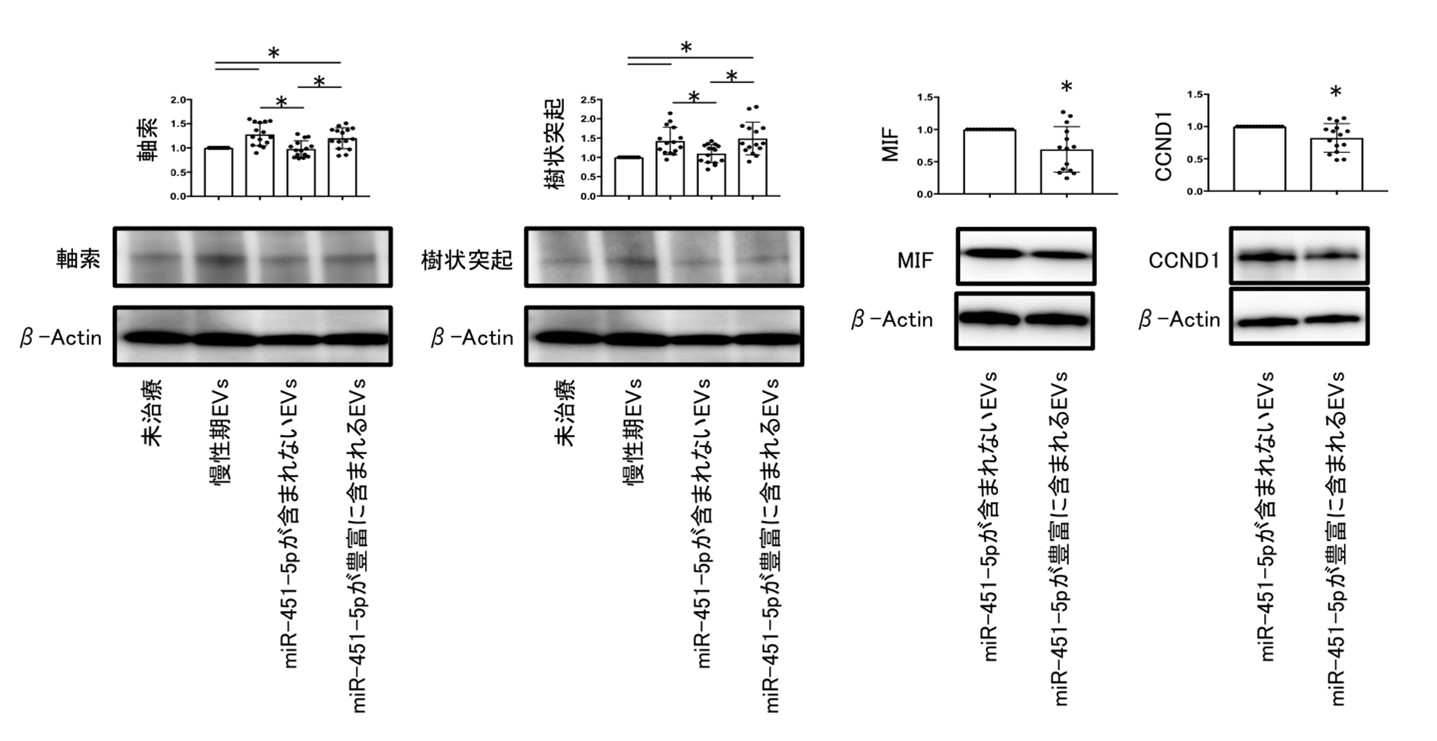 平先生画像5