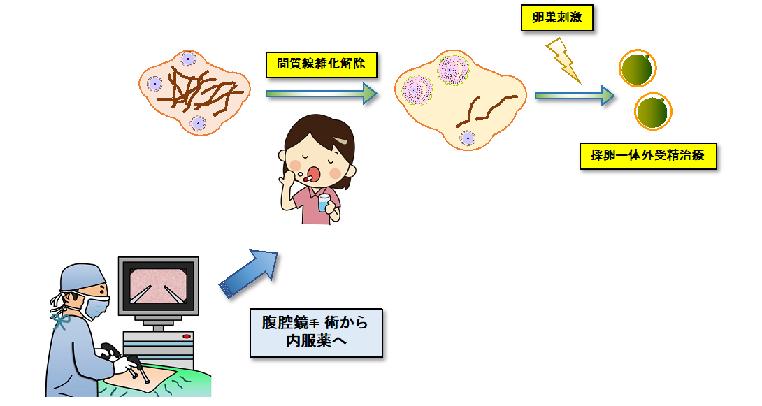 スクリーンショット 2026-02-06 095023