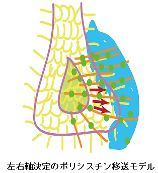 投稿1