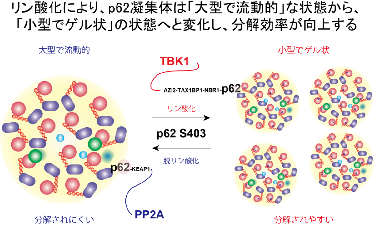 小松先生0505画像1
