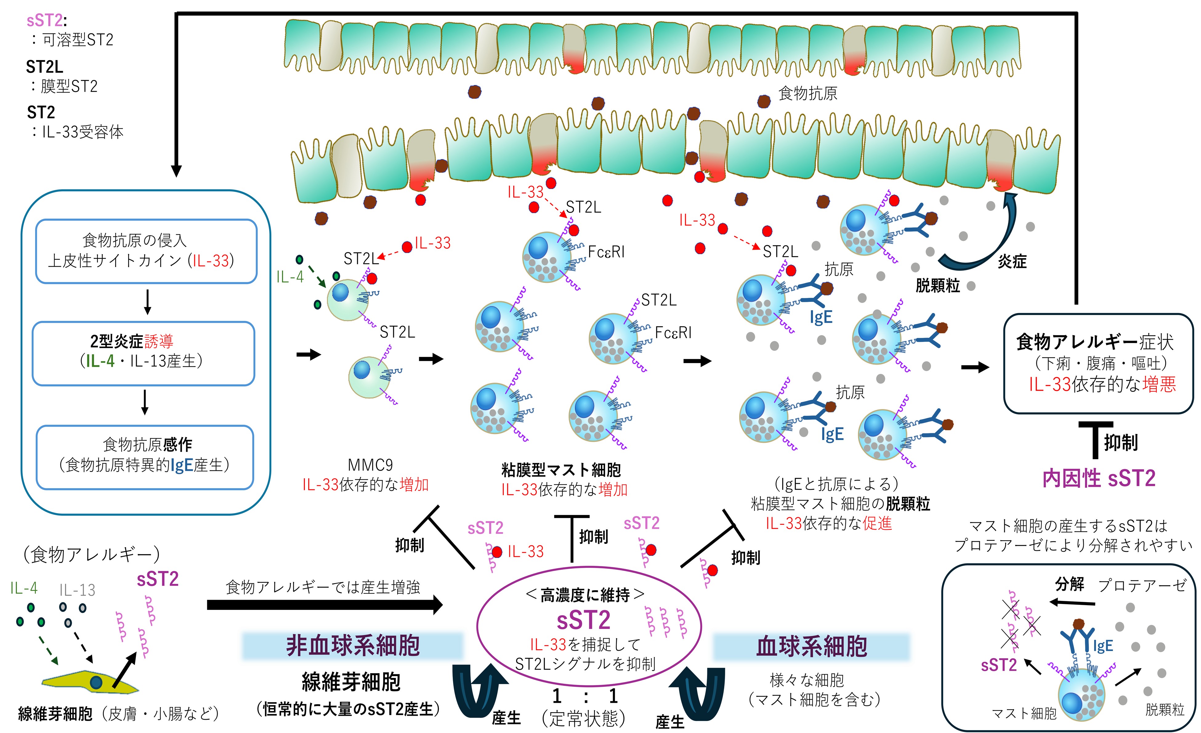 北浦先生画像0107