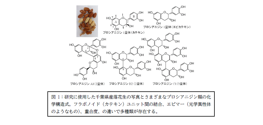 図１差替え