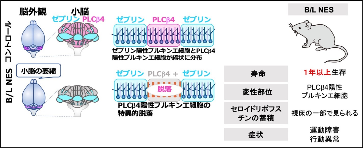 谷田先生画像1