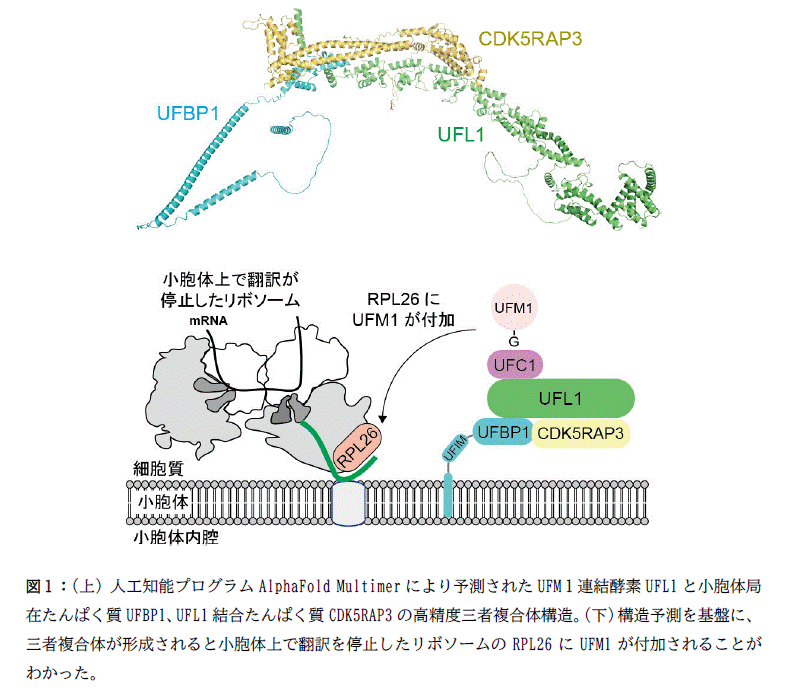 図1 差し替え