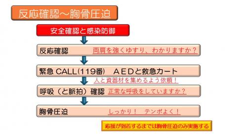 BSLの流れ図