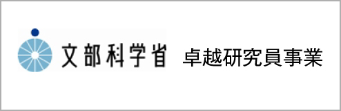 文部科学省 卓越研究員事業