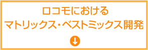 ロコモにおけるマトリックス・ベストミックス開発 