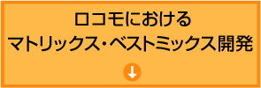 ロコモにおけるマトリックス・ベストミックス開発 