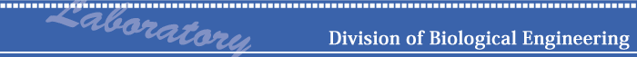 Division of Biological Engineering