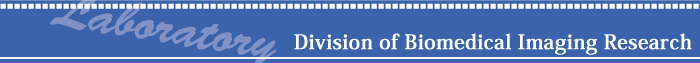 Division of Biomedical Imaging Research