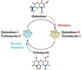 Fig 2