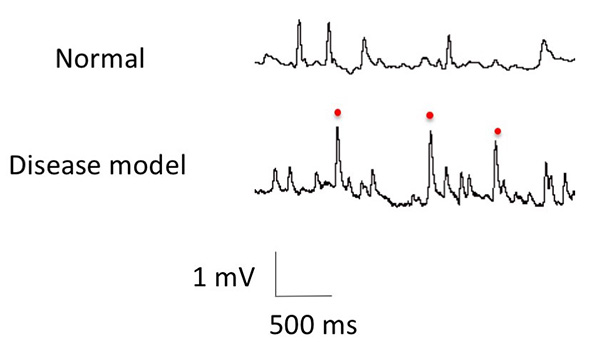 Figure 11