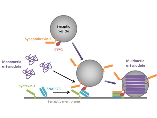 Figure 13