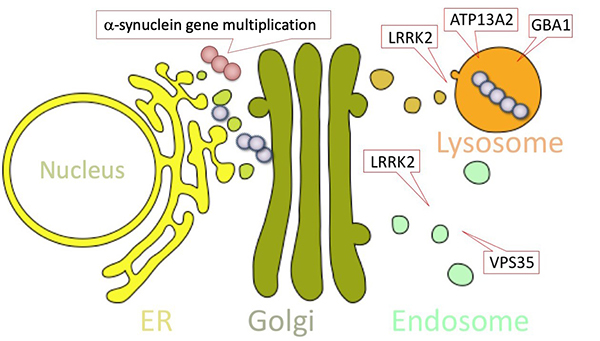 Figure 16