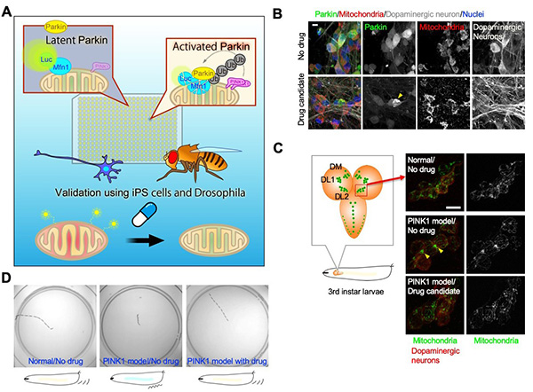 Figure 22