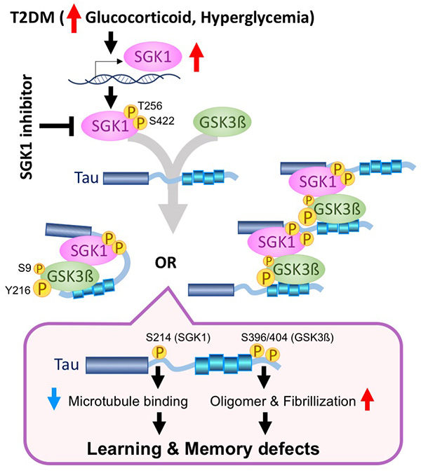 Figure 22