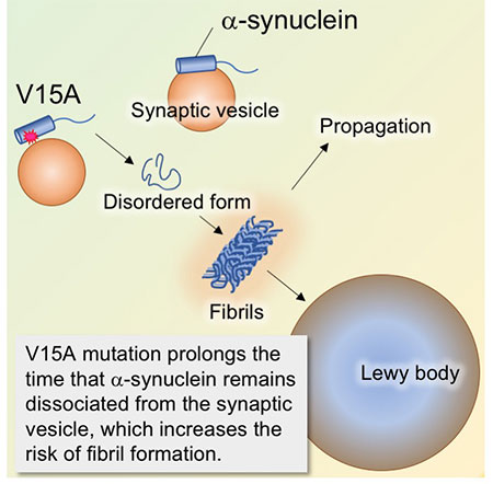 Figure 25