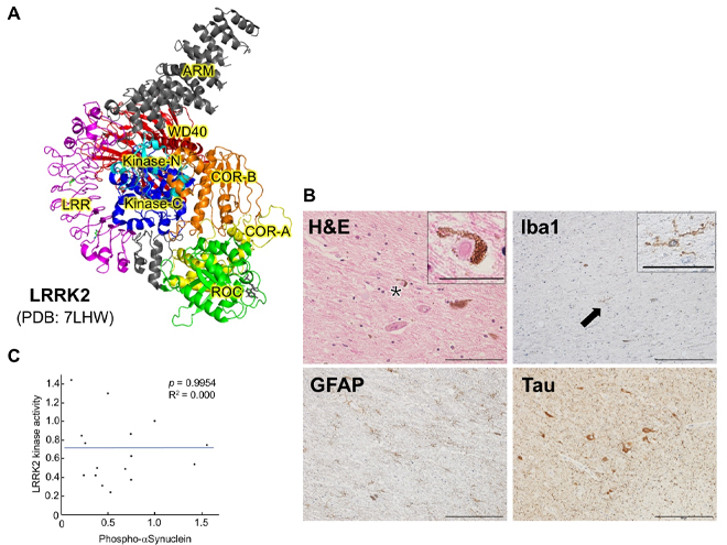 Figure 26