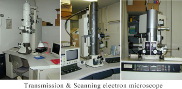Transmission & Scanning electron microscope