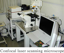 Confocal laser scanning microscope