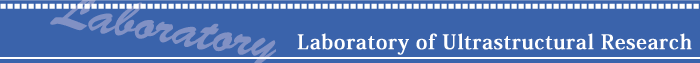 Division of Ultrastructural Research
