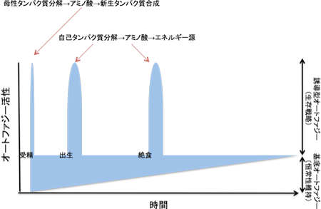 図2