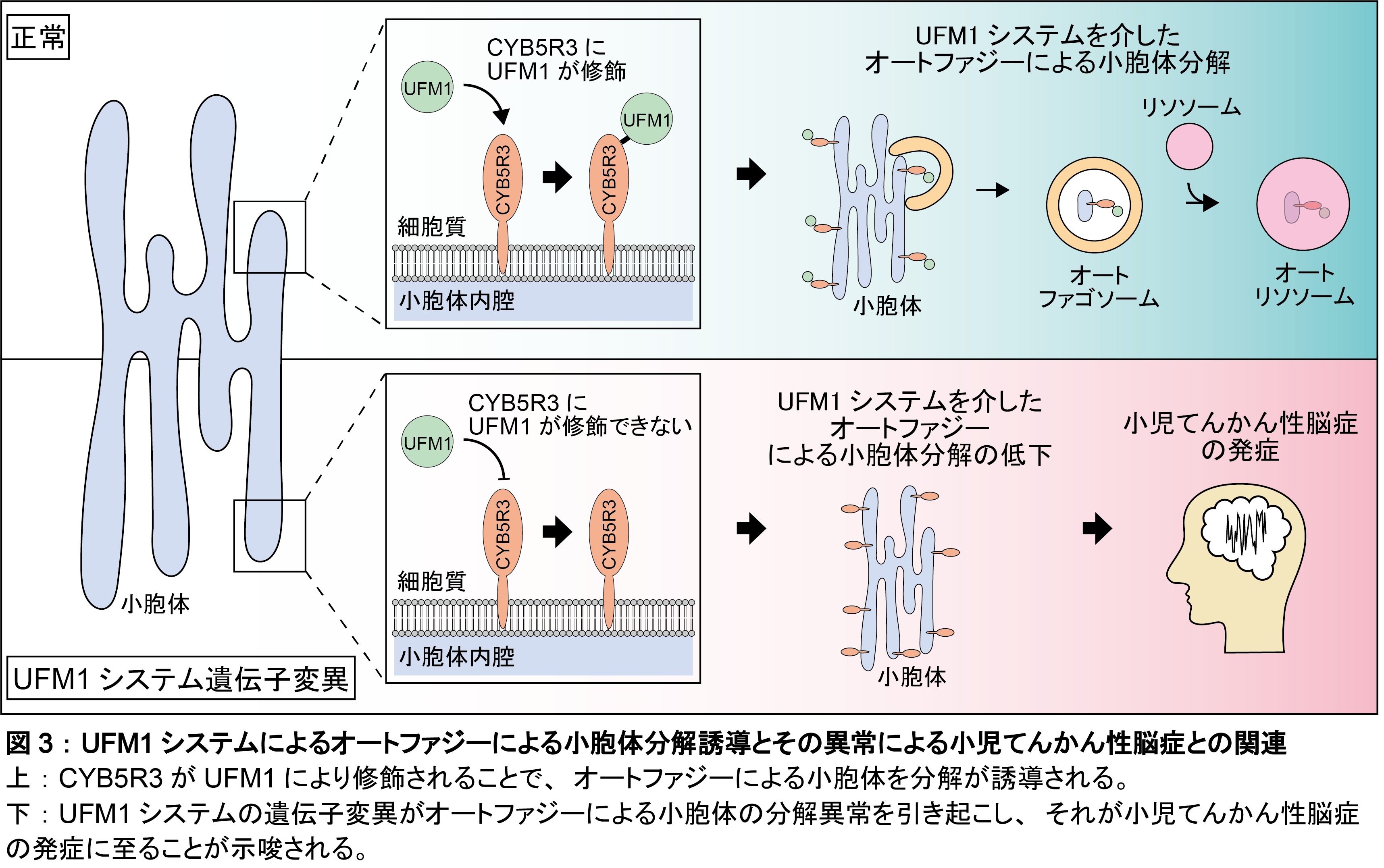 図3