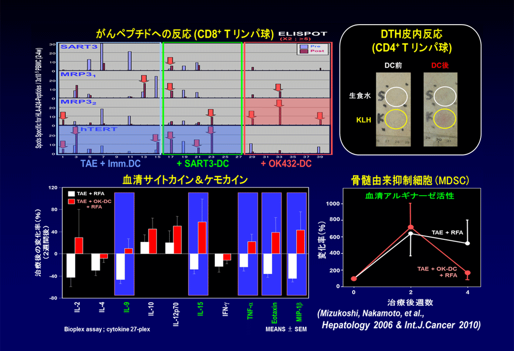 動脈塞栓術と併用する樹状細胞療法　作用機序