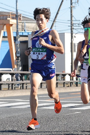 三浦(縦)300 三浦(縦)300